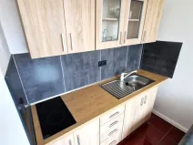 Pronájem bytu 1+kk, Litvínov, Mostecká, 22 m2