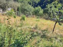 Prodej zahrady, Hlubočky, 382 m2