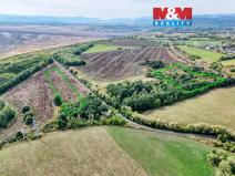 Prodej lesa, Spořice, 17656 m2