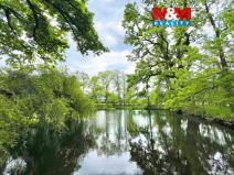 Prodej rybníku, Žulová, 7142 m2