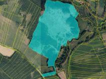 Prodej lesa, Vlčeves, 250236 m2