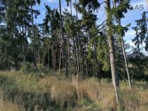 Prodej lesa, Zvěstov - Libouň, Zvěstov, 2824 m2