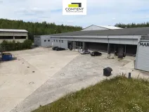 Prodej výrobních prostor, Sokolov, Chebská, 31345 m2