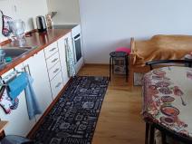 Pronájem bytu 1+kk, Město Albrechtice, nám. ČSA, 35 m2