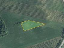 Prodej pole, Hovorany, 3948 m2