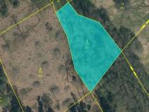 Prodej podílu lesa, Smilovy Hory, 938 m2