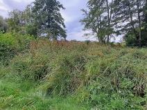 Prodej zahrady, Borek, 3737 m2