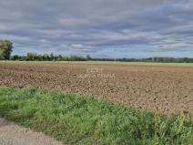 Prodej komerčního pozemku, Malešovice, 12361 m2