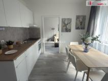 Pronájem bytu 2+kk, Ústí nad Labem - Střekov, Purkyňova, 39 m2