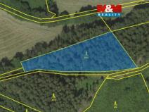 Prodej lesa, Borovnice, 38344 m2