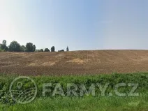 Prodej pole, Kožušice, 21480 m2