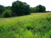 Dražba louky, Dubá, 772 m2