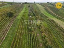 Prodej sadu/vinice, Čejkovice, 2286 m2