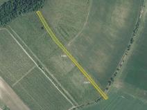 Prodej sadu/vinice, Brumovice, 4866 m2