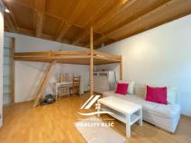 Pronájem bytu 1+1, Ostrava, Garážní, 38 m2