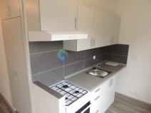 Pronájem bytu 1+1, Ostrava - Výškovice, Proskovická, 40 m2