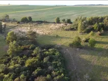 Dražba louky, Žďár, 7261 m2