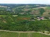 Prodej sadu/vinice, Němčičky, 835 m2