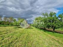 Prodej sadu/vinice, Tištín, 1062 m2