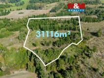 Prodej lesa, Horní Heřmanice, 31116 m2