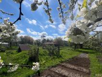 Prodej rodinného domu, Svinošice, 100 m2