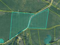 Prodej podílu 1/4 louky, Drmoul, 50238 m2