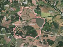 Prodej lesa, Horažďovice - Veřechov, 11833 m2