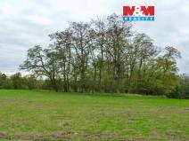 Prodej lesa, Drahobuz, 1252 m2