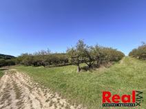 Prodej pozemku pro bydlení, Veverské Knínice, 3129 m2