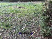 Prodej zahrady, Struhařov, 397 m2