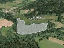 Prodej podílu lesa, Čmelíny, 7020 m2
