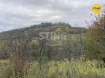 Prodej sadu/vinice, Koryčany - Blišice, 4839 m2