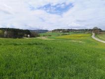 Prodej pozemku pro bydlení, Radomyšl, 8500 m2