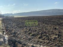 Prodej pole, Moravské Knínice, 8333 m2