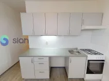 Pronájem bytu 2+1, Ostrava - Hrabůvka, Holasova, 55 m2