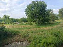 Prodej zahrady, Bučovice, 2010 m2