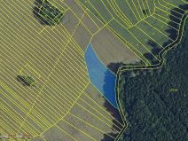 Prodej pole, Moravská Nová Ves, 1877 m2