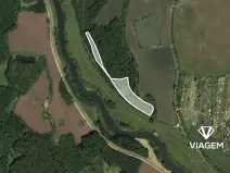 Prodej podílu lesa, Ladná, 1692 m2