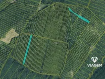 Prodej podílu lesa, Brno, 996 m2