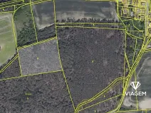 Prodej podílu lesa, Hrdlív, 2102 m2
