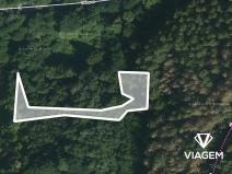 Prodej lesa, Letovice, 1447 m2