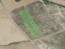 Prodej pole, Nesuchyně, 12842 m2