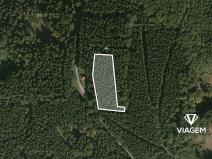 Prodej podílu lesa, Morávka, 2783 m2