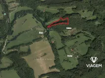 Prodej podílu lesa, Lutonina, 2332 m2