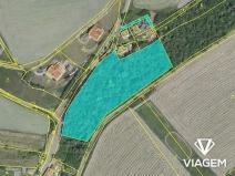 Prodej podílu lesa, Pustověty, 2203 m2