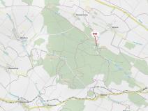 Dražba lesa, Moravské Budějovice, 2338 m2