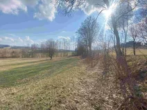 Dražba louky, Bartošovice v Orlických horách, 5738 m2