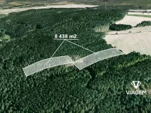 Prodej podílu lesa, Manětín, 4219 m2