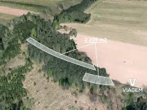 Prodej lesa, Čikov, 2239 m2