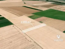 Prodej pole, Syrovice, 2655 m2